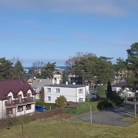 Limonka * Władysławowo