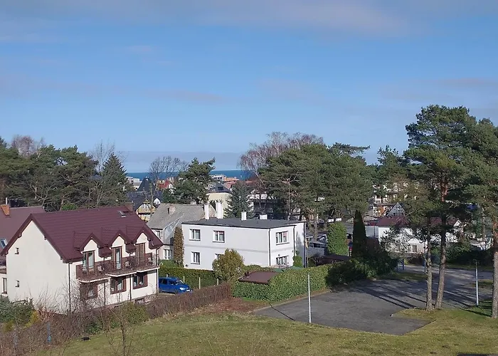 Limonka * Władysławowo